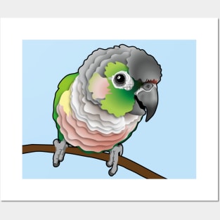 Super Cute Green Opal Yellow Side Conure Posters and Art